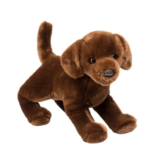 Cocoa Chocolate Lab 