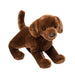 Cocoa Chocolate Lab 