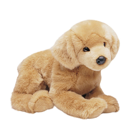 Honey Golden Retriever, Floppy 