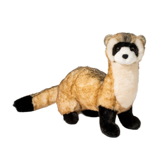 Vince Black-Footed Ferret 