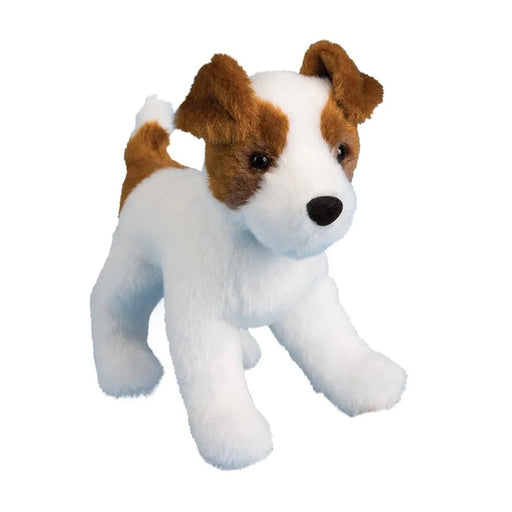 Feisty Jack Russell 