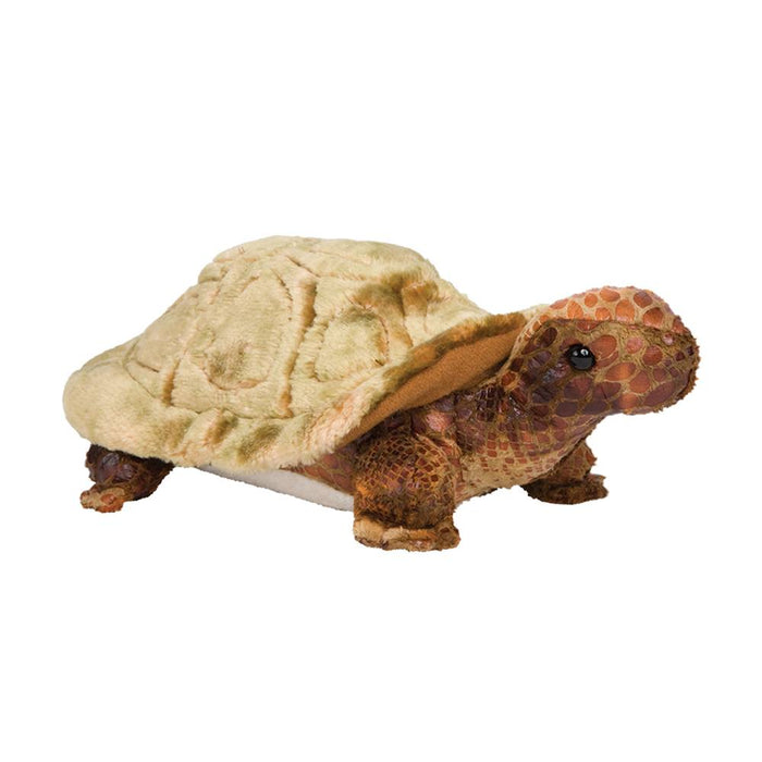 Speedy Tortoise (4051)