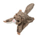 Jumper Flying Squirrel 