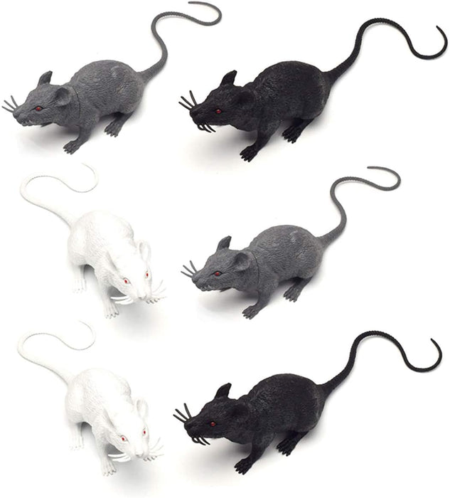 Rat