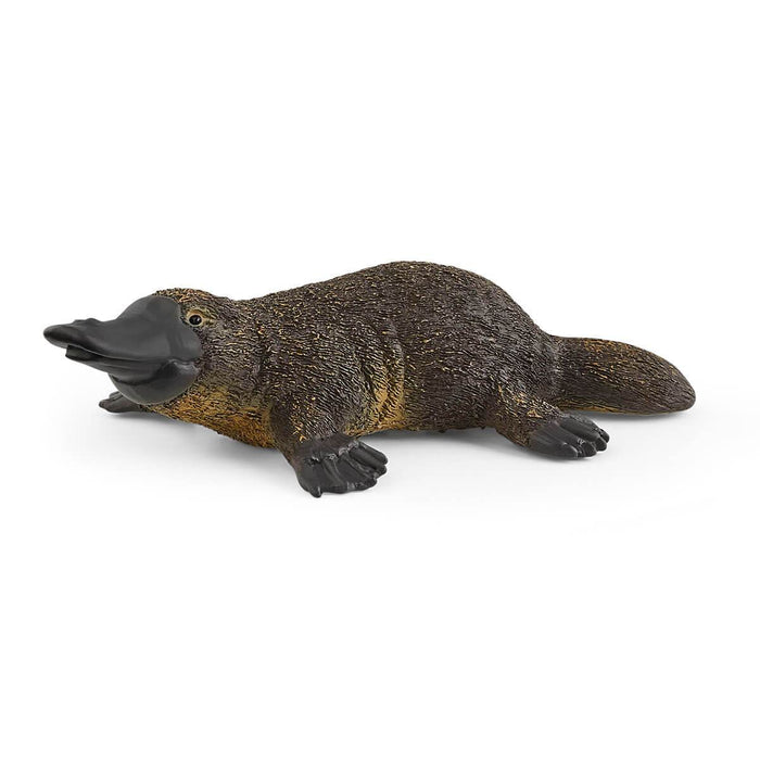 Wild Life - Platypus (14840)