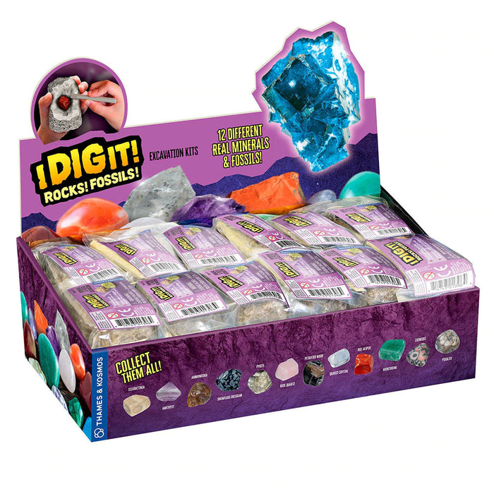 I Dig It! Rocks & Fossils - Mini Excavation