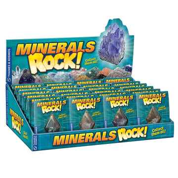 Minerals Rock! - Real Specimen Assortment